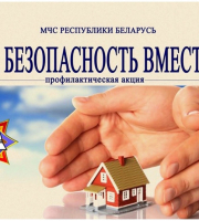 В Беларуси 2 марта стартовала республиканская профилактическая акция «За безопасность вместе!»