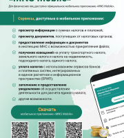 Мобильное приложение «MNS Mobile»